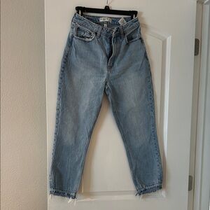 Abercrombie & Fitch Light Blue Denim The Mom Jeans